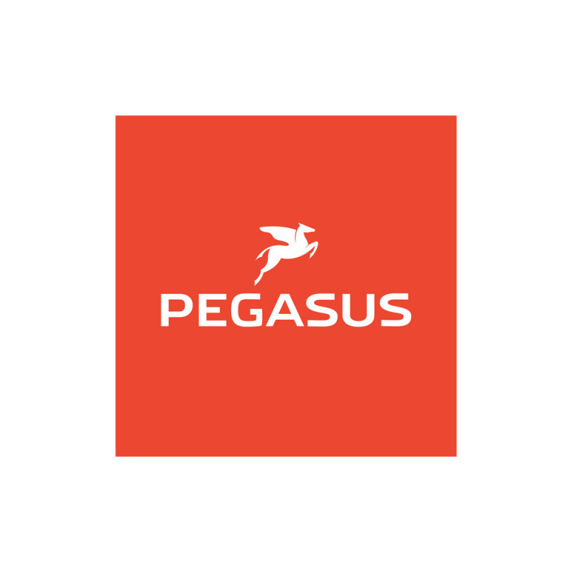 p-logo